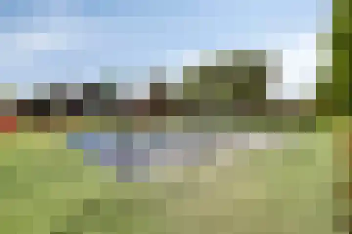 Kamprechter 10 Oss thumbnail 29