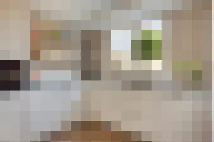 Kamprechter 10 Oss thumbnail 6