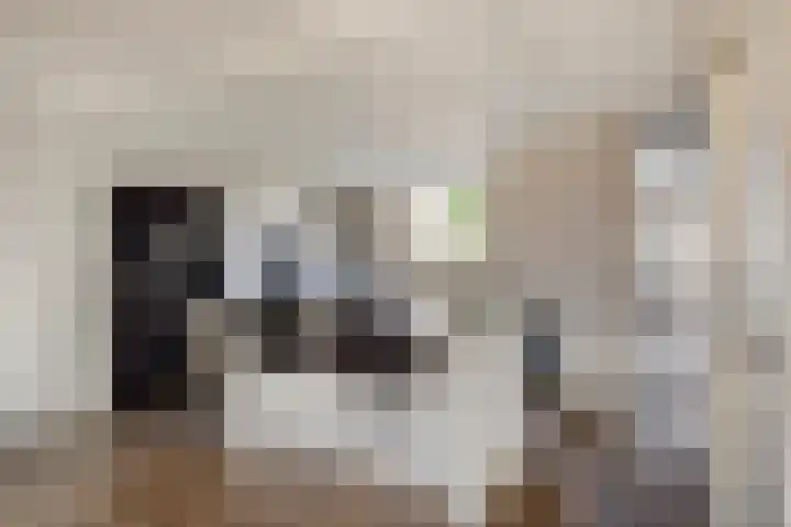 Kamprechter 10 Oss thumbnail 8