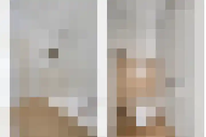 Kamprechter 22 Oss thumbnail 16