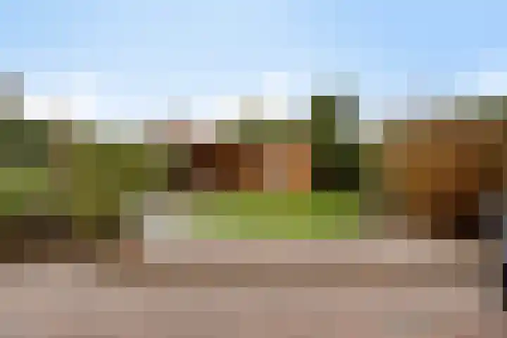 Kamprechter 22 Oss thumbnail 20