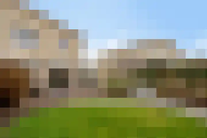 Kamprechter 22 Oss thumbnail 21
