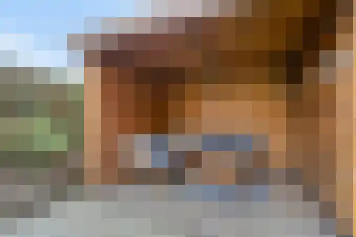 Kamprechter 22 Oss thumbnail 23