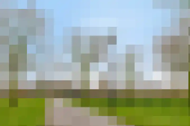 Kamprechter 22 Oss thumbnail 26
