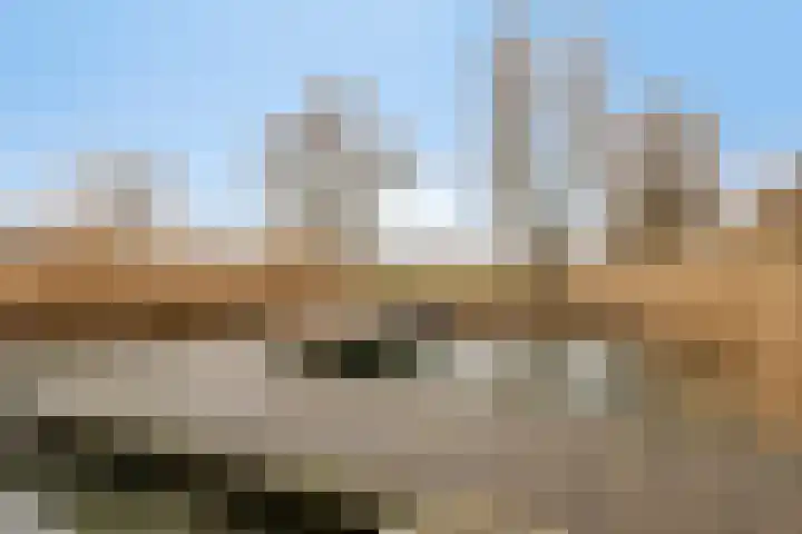 Kamprechter 22 Oss thumbnail 27
