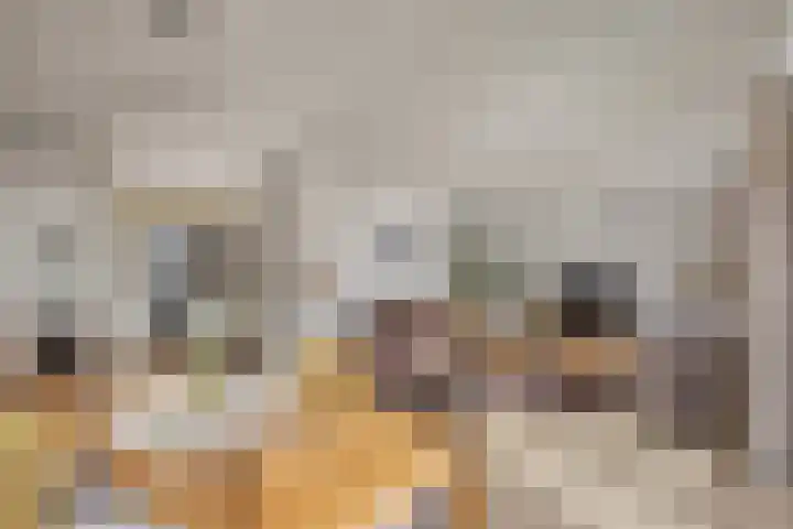 Kamprechter 22 Oss thumbnail 5