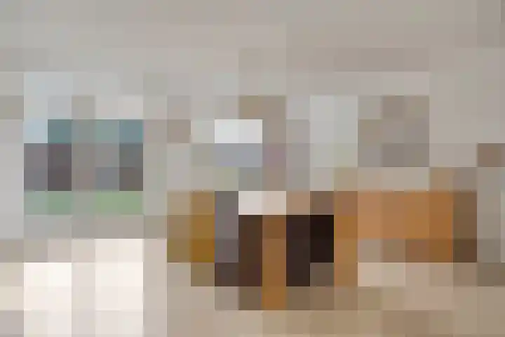 Kamprechter 22 Oss thumbnail 6