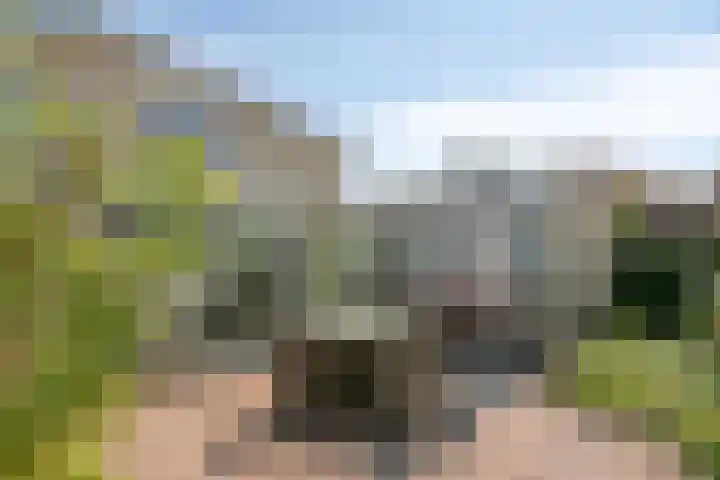 Kamprechter 29 Oss thumbnail 35