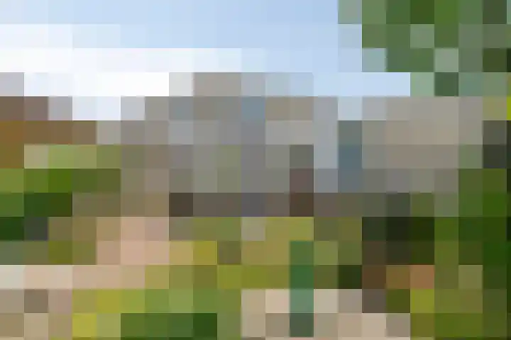 Kamprechter 29 Oss thumbnail 41