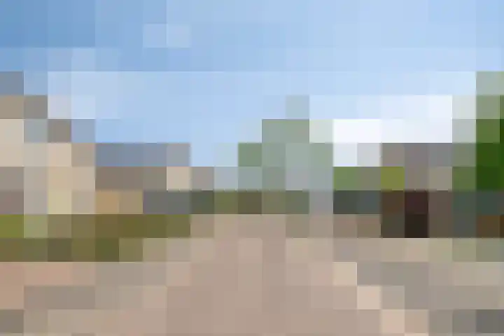 Kamprechter 29 Oss thumbnail 46