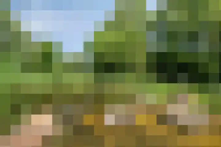 Kamprechter 29 Oss thumbnail 47