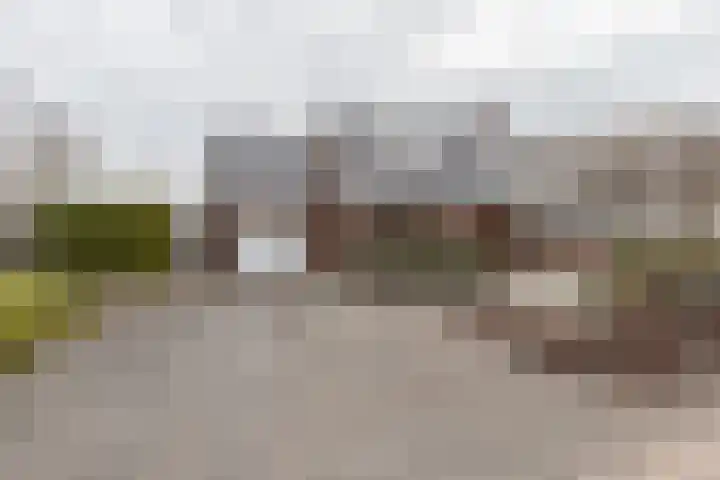 Kampschutterslaan 4 A Westerlee thumbnail 10