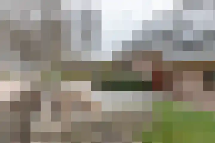 Kampschutterslaan 4 A Westerlee thumbnail 12