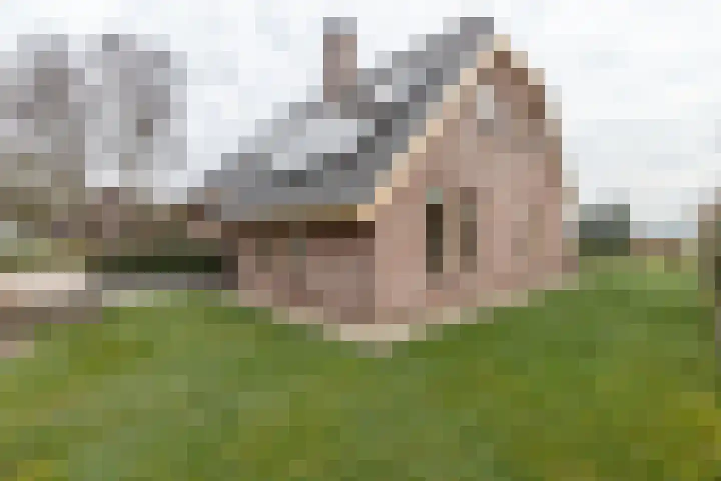 Kampschutterslaan 4 A Westerlee thumbnail 45