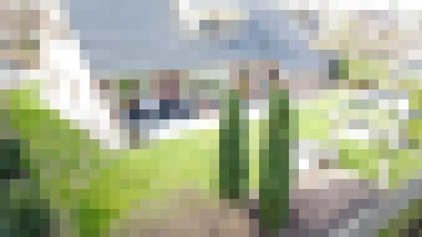 Kampschutterslaan 4 A Westerlee thumbnail 47