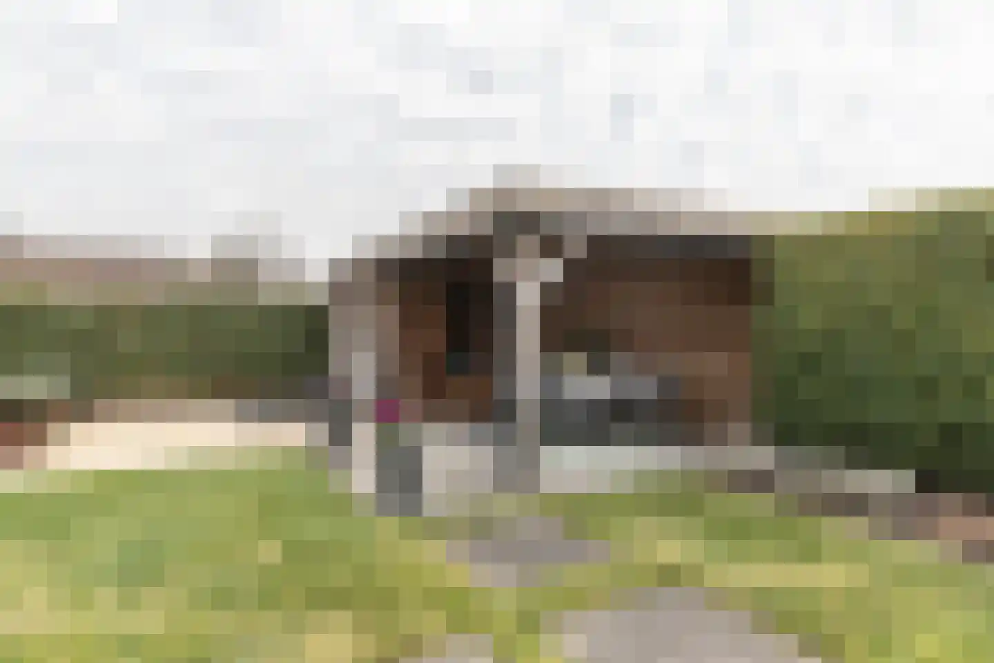 Kampschutterslaan 4 A Westerlee thumbnail 54