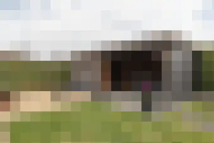 Kampschutterslaan 4 A Westerlee thumbnail 56