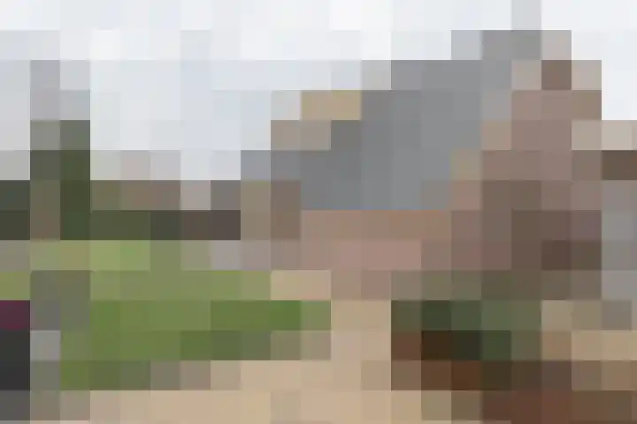 Kampschutterslaan 4 A Westerlee thumbnail 60