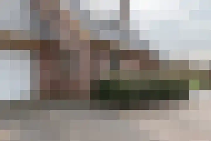 Kampschutterslaan 4 A Westerlee thumbnail 63