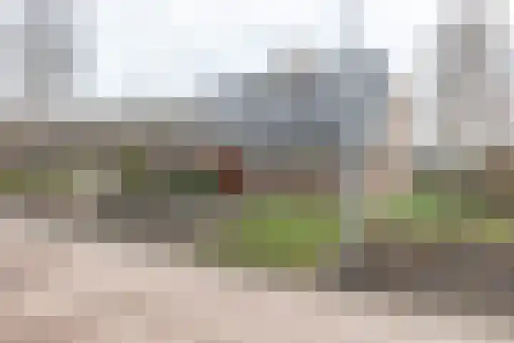 Kampschutterslaan 4 A Westerlee thumbnail 8