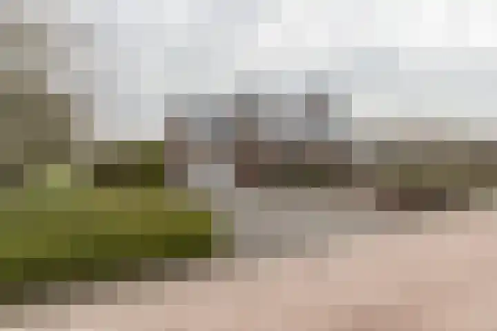 Kampschutterslaan 4 A Westerlee thumbnail 9
