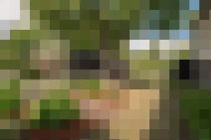 Kampsedijk 22 Enspijk thumbnail 48