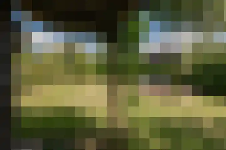 Kampsedijk 22 Enspijk thumbnail 53