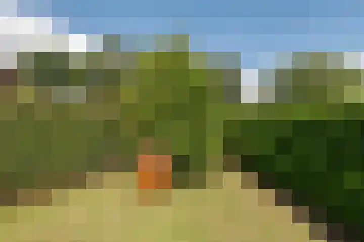 Kampsedijk 22 Enspijk thumbnail 56