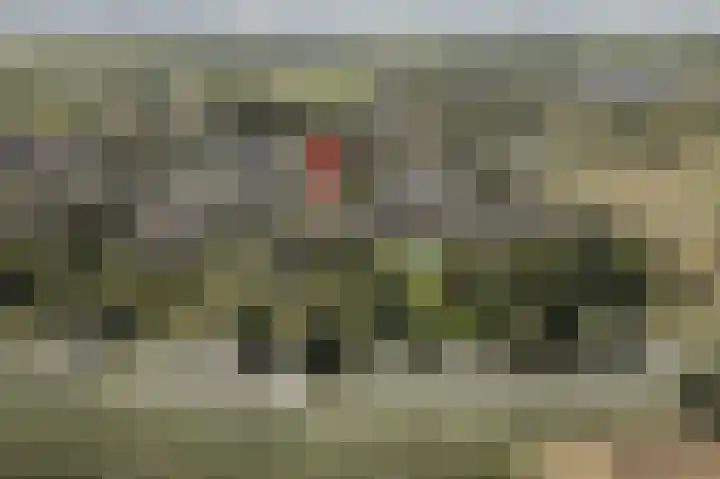 Kampsedijk 22 Enspijk thumbnail 68