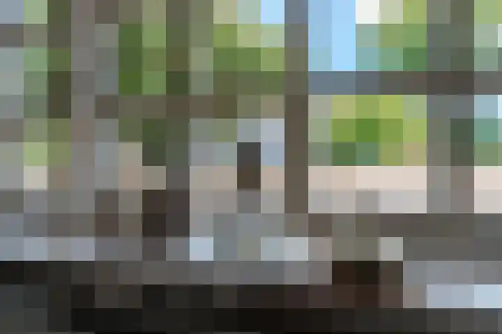 Kampsedijk 22 Enspijk thumbnail 8
