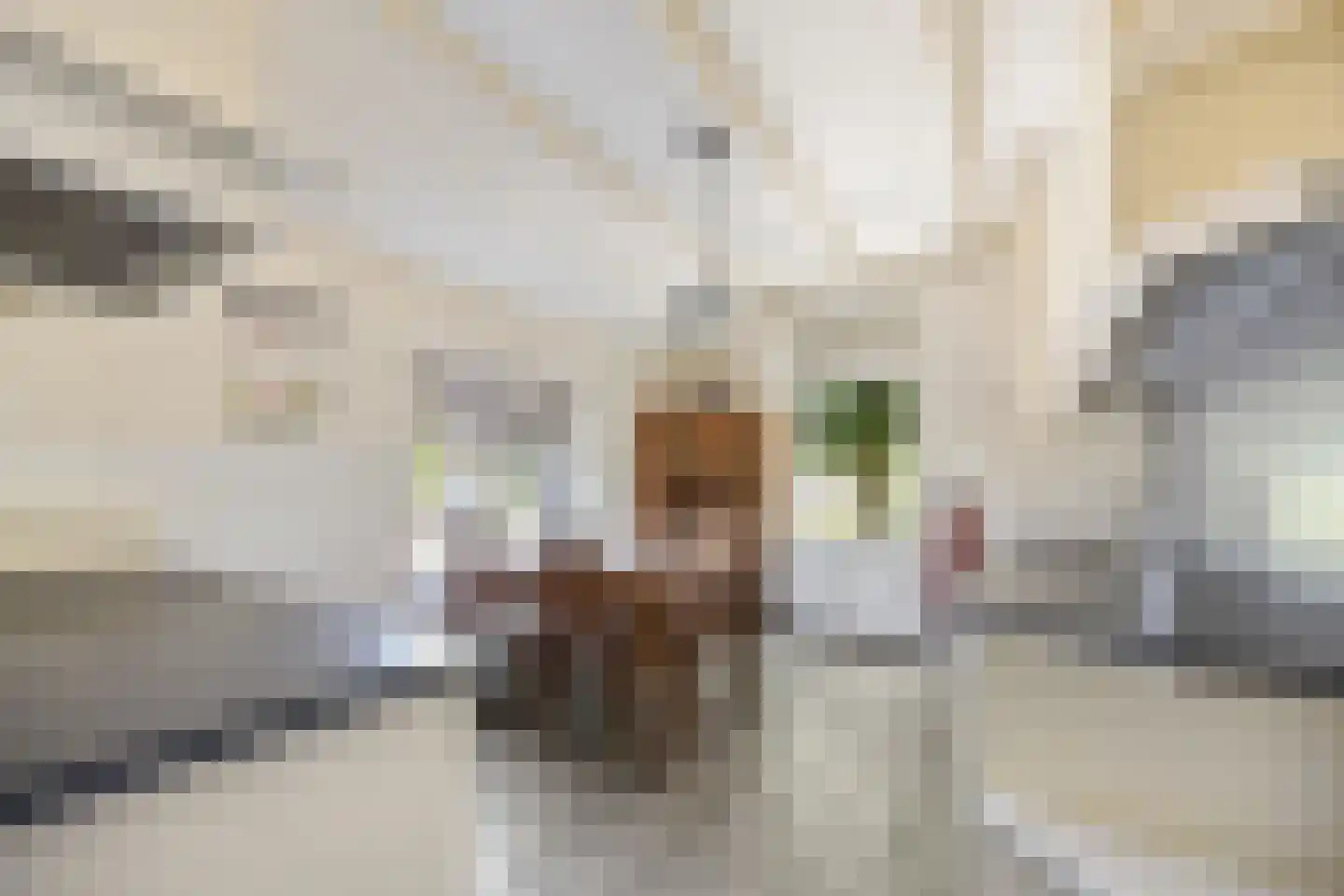 Kampsestraat 10 Boven-Leeuwen thumbnail 13