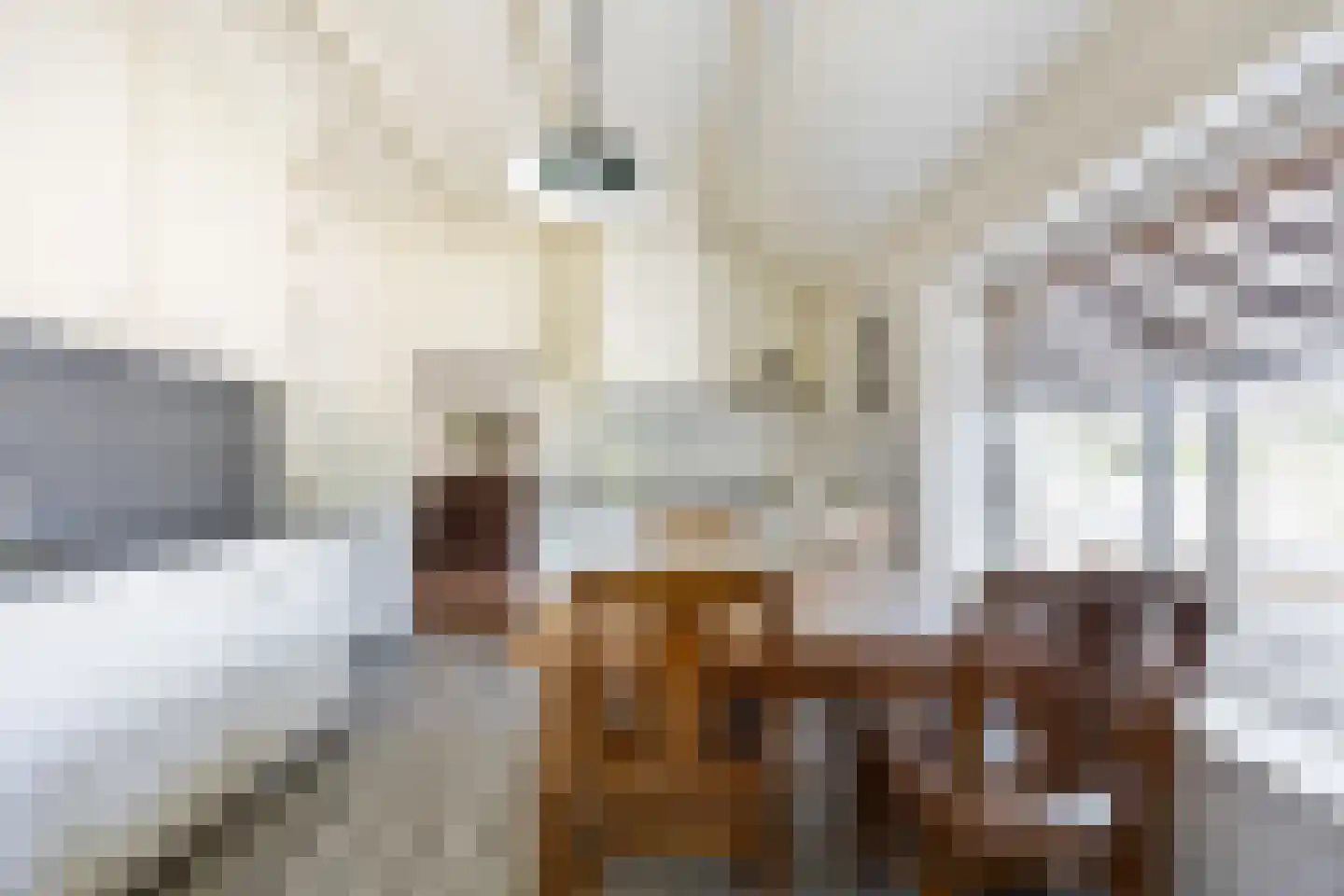 Kampsestraat 10 Boven-Leeuwen thumbnail 15
