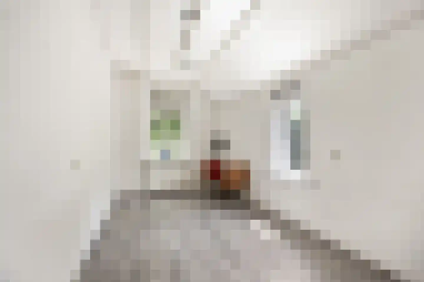 Kampsestraat 10 Boven-Leeuwen thumbnail 17