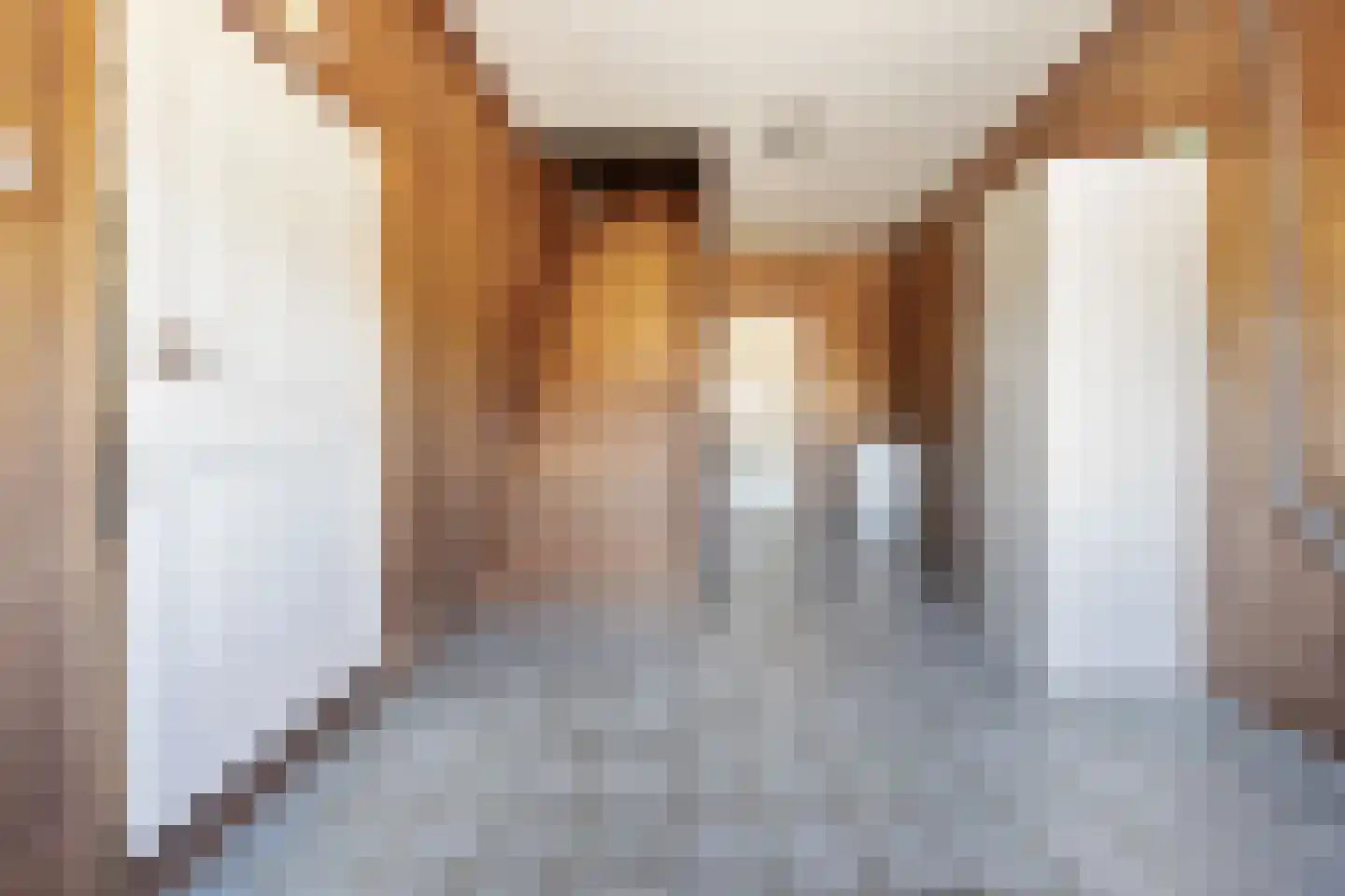 Kampsestraat 10 Boven-Leeuwen thumbnail 27