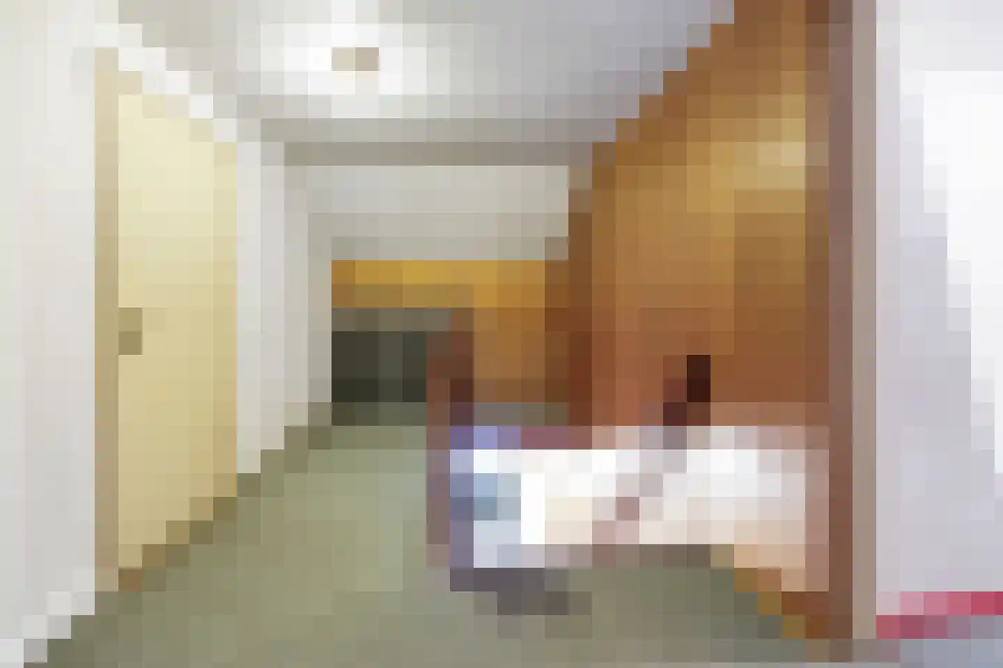 Kampsestraat 10 Boven-Leeuwen thumbnail 28