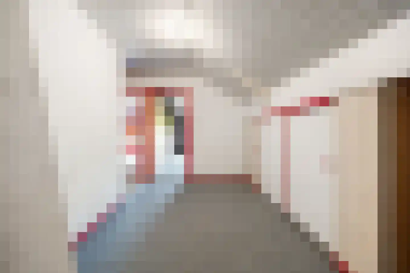 Kampsestraat 10 Boven-Leeuwen thumbnail 38