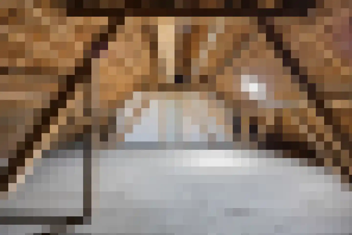 Kampsestraat 10 Boven-Leeuwen thumbnail 41