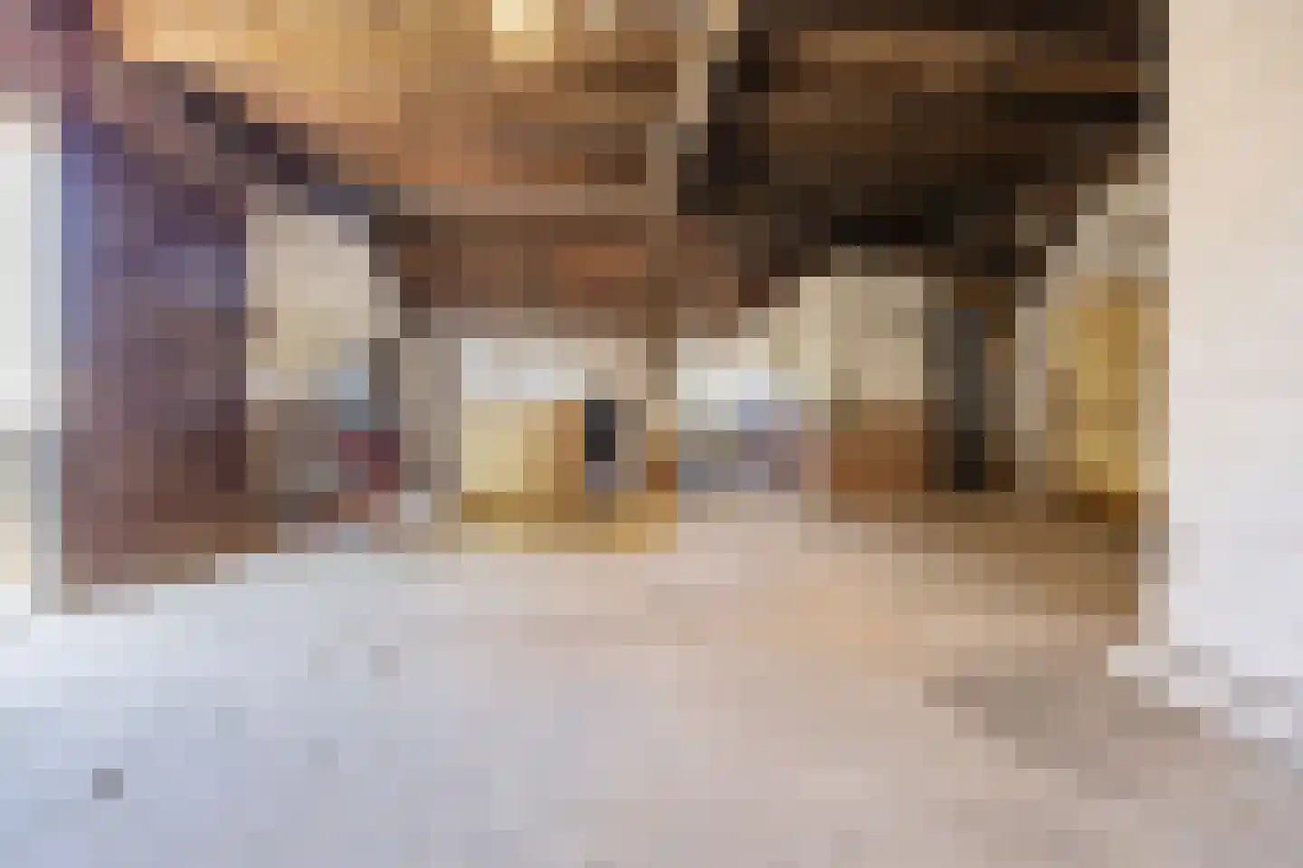 Kampsestraat 10 Boven-Leeuwen thumbnail 43