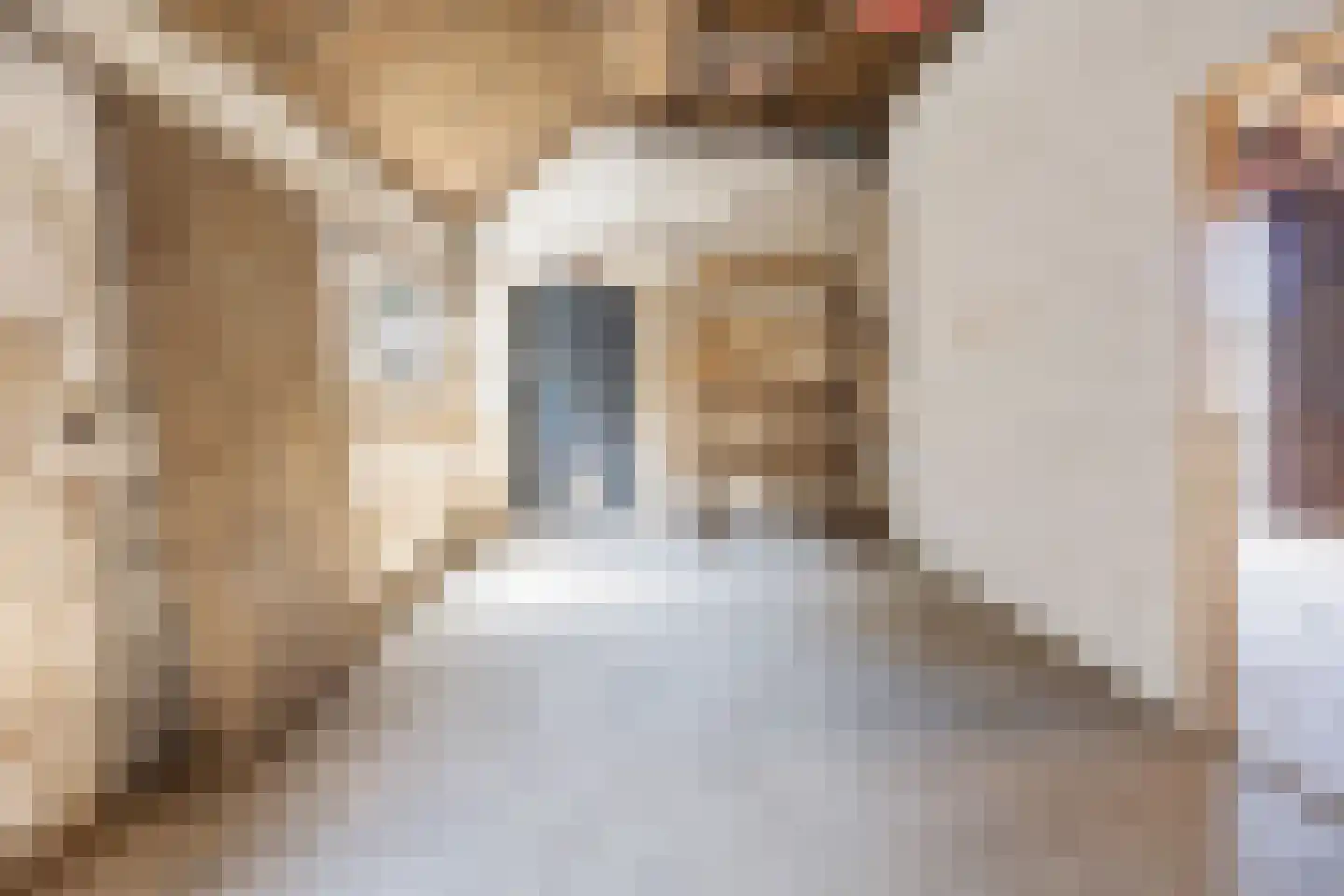 Kampsestraat 10 Boven-Leeuwen thumbnail 45