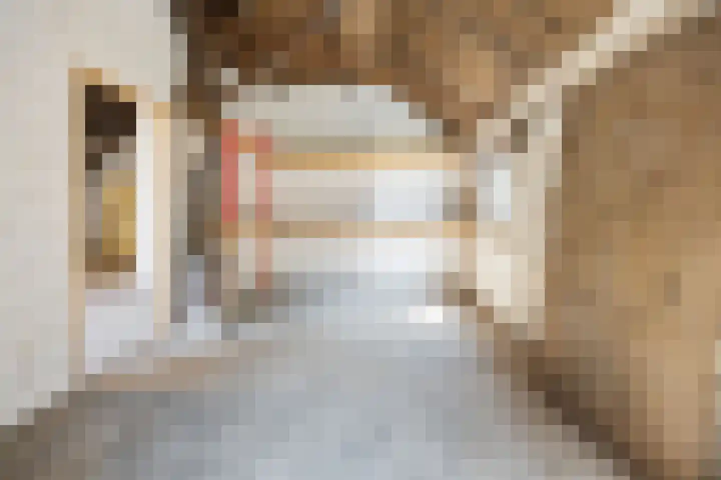 Kampsestraat 10 Boven-Leeuwen thumbnail 46