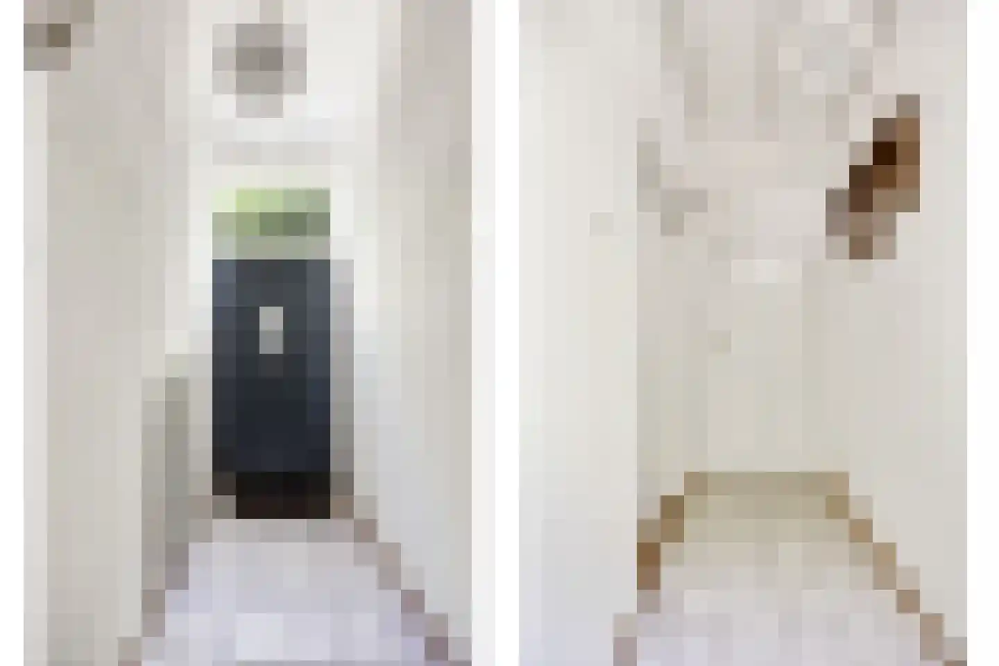 Kampsestraat 10 Boven-Leeuwen thumbnail 5