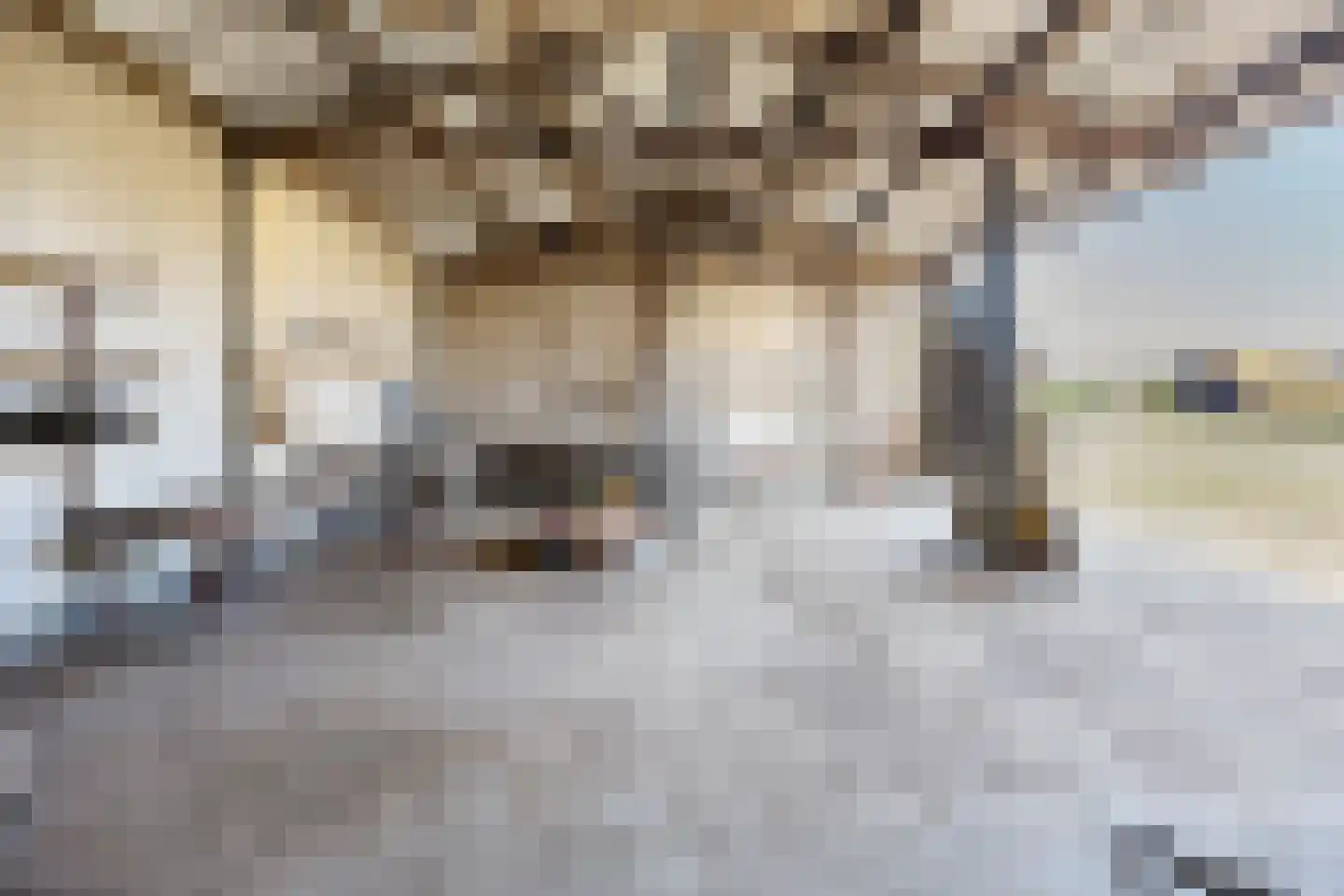 Kampsestraat 10 Boven-Leeuwen thumbnail 50
