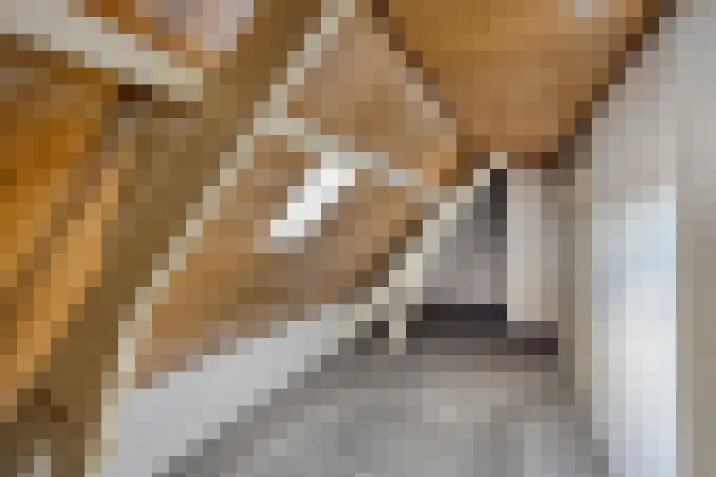Kampsestraat 12 Haps thumbnail 25