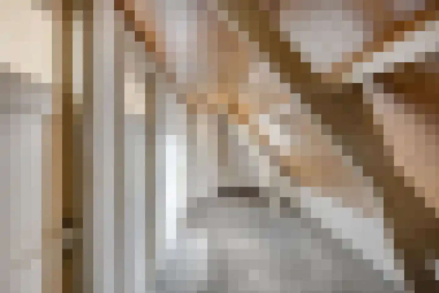 Kampsestraat 12 Haps thumbnail 26