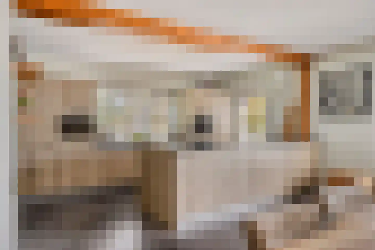 Kampsestraat 29 Angeren thumbnail 16