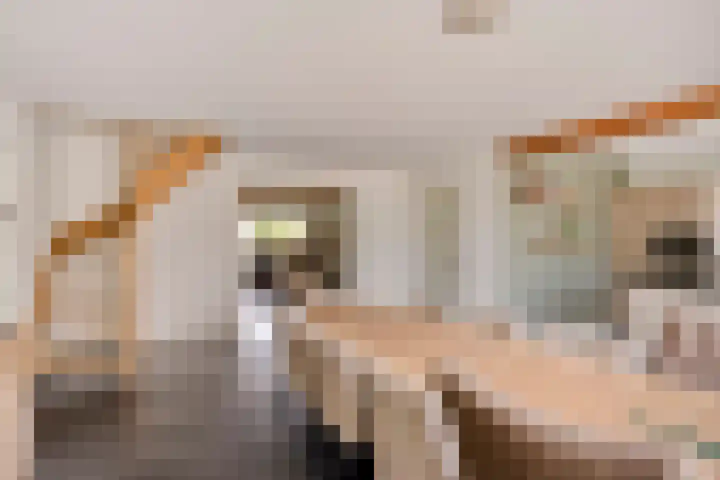 Kampsestraat 29 Angeren thumbnail 18