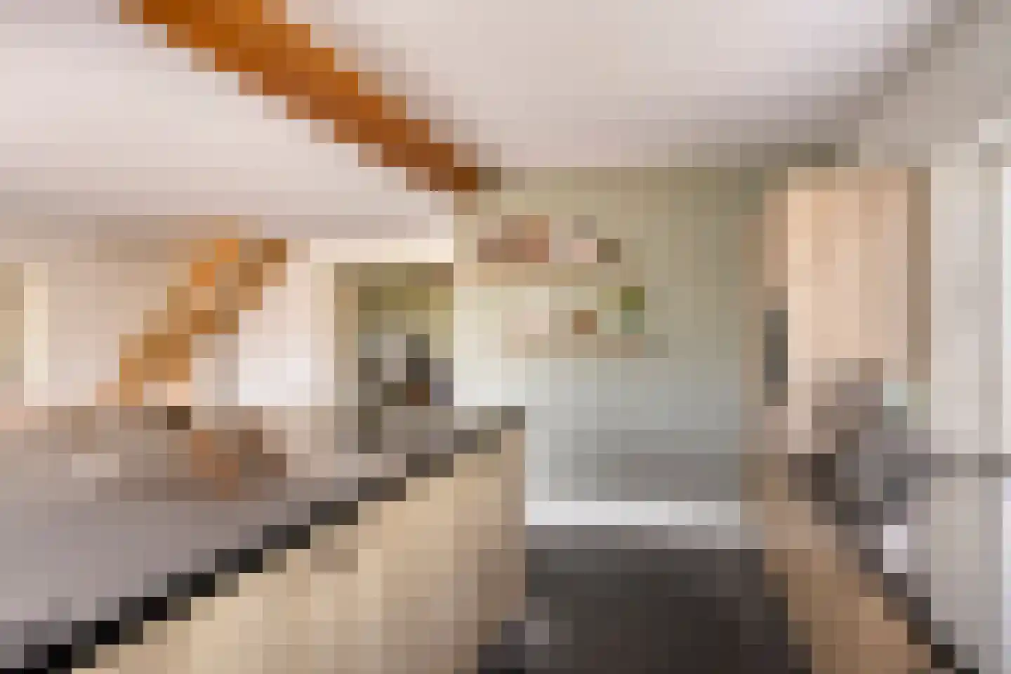 Kampsestraat 29 Angeren thumbnail 20