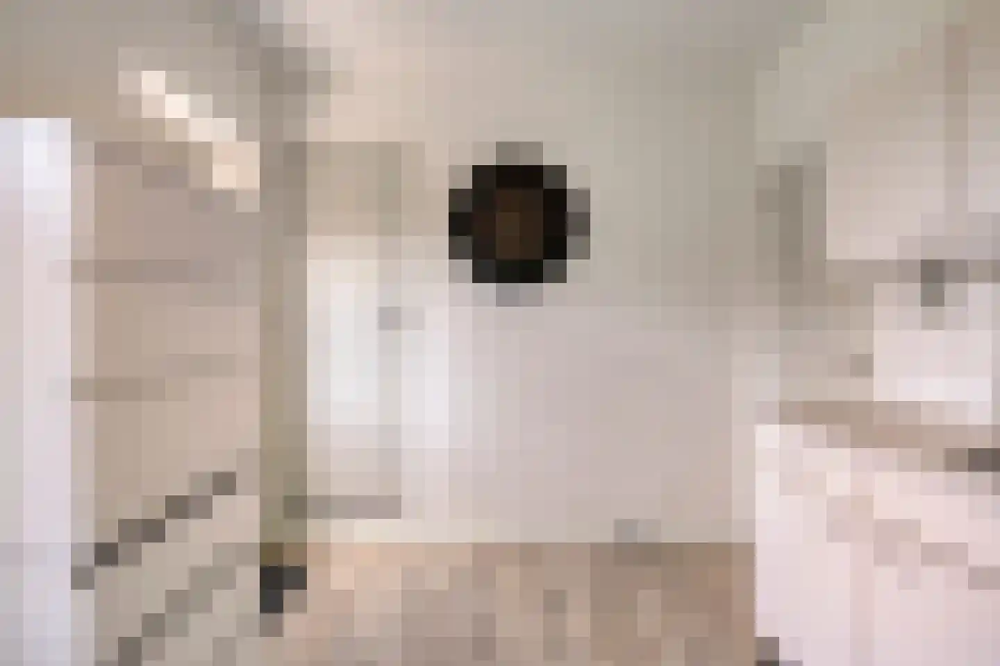 Kampsestraat 29 Angeren thumbnail 23