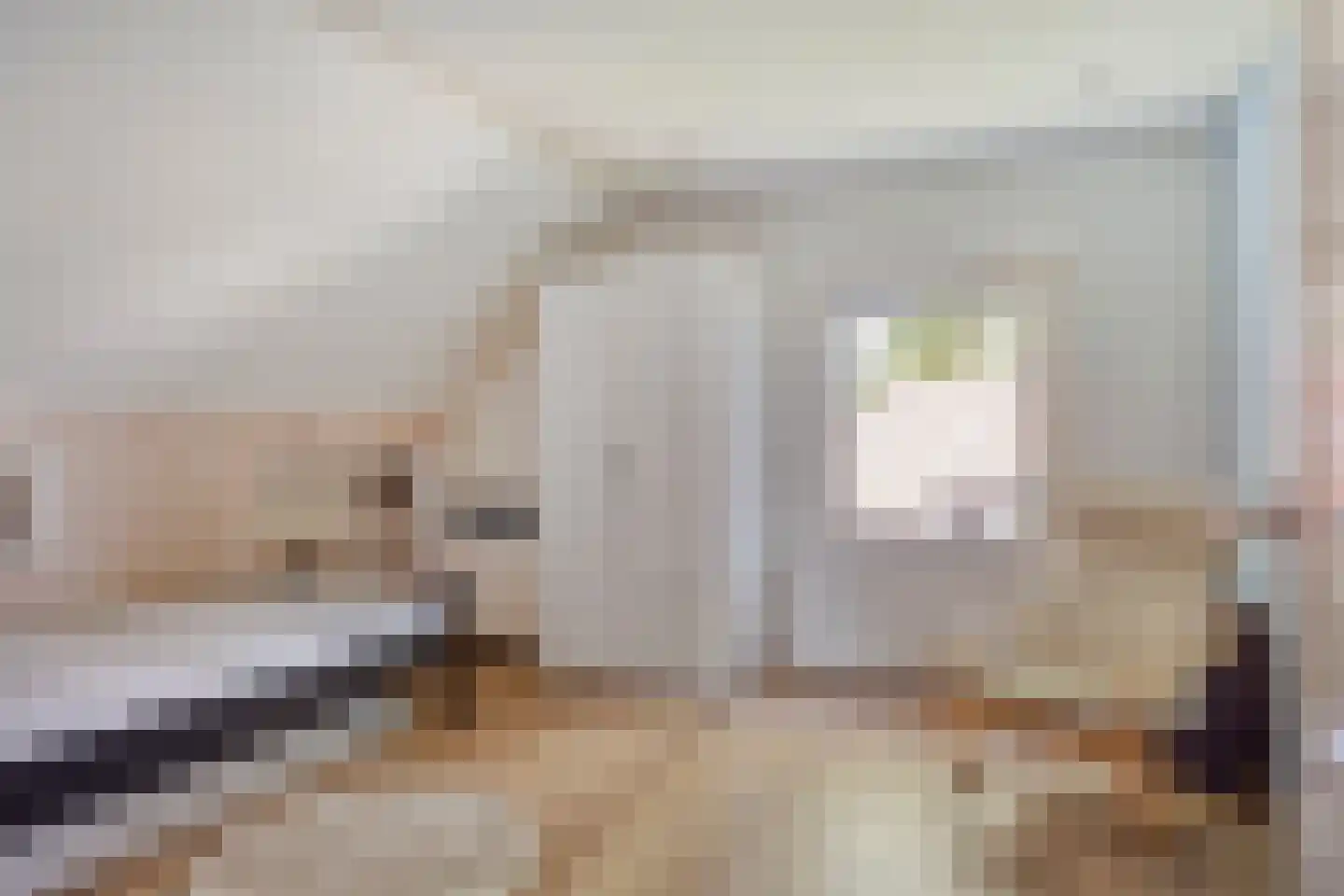 Kampsestraat 29 Angeren thumbnail 43