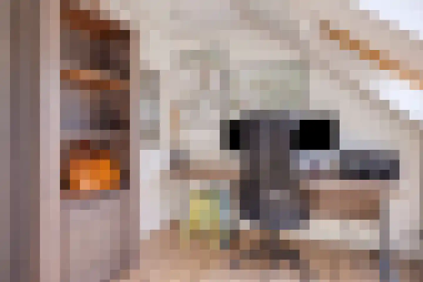 Kampsestraat 29 Angeren thumbnail 44